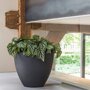 Pottery Pots Refined Jesslyn ronde plantenbak zwart